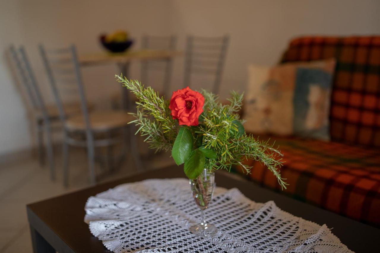 Apartman Kristo Vir Esterno foto